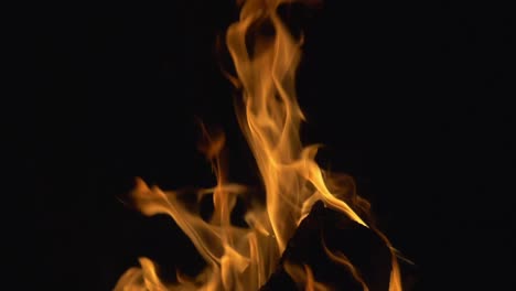 campfire close-up view at night. camping outdoor