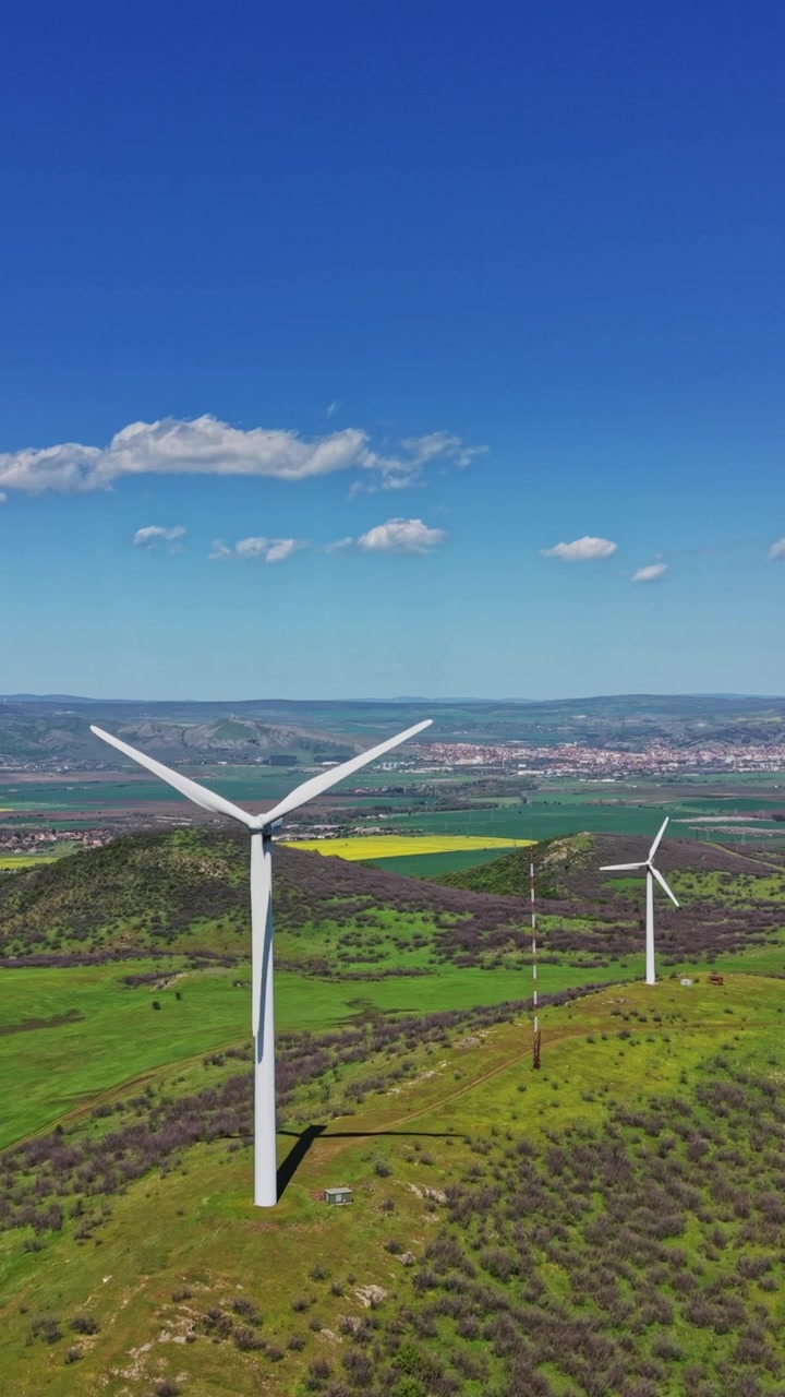 Pale eoliche si ergono su una collina verde sotto un cielo azzurro limpido.
