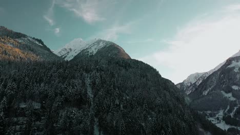 beautiful austrian alps mountainside, backcountry forest, aerial view