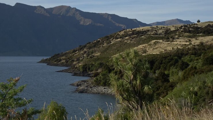 Vista dal punto panoramico sul lago Hawea nell'Isola del Sud, Nuova Zelanda - Campo lungo