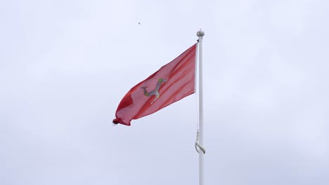 isle of man flag waving on pole, slow motion