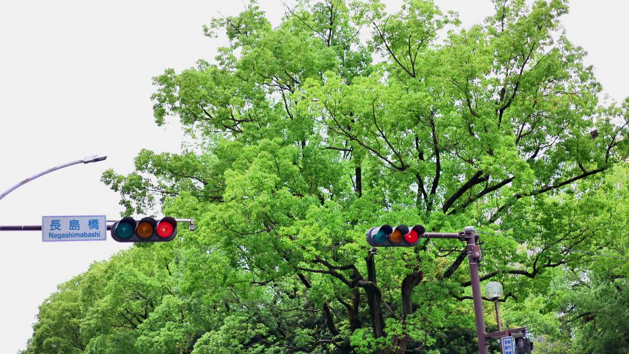 요코하마의 아름다운 삶