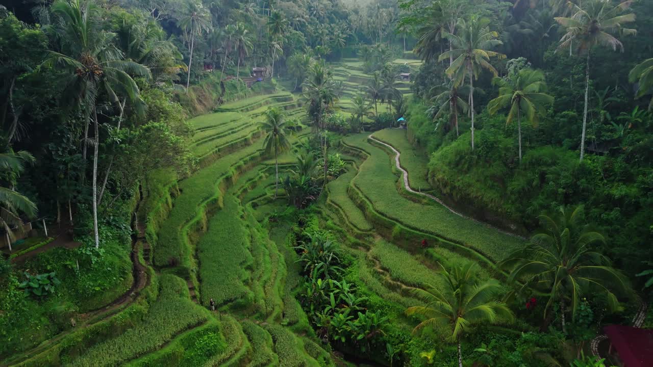 계곡 의  테라스