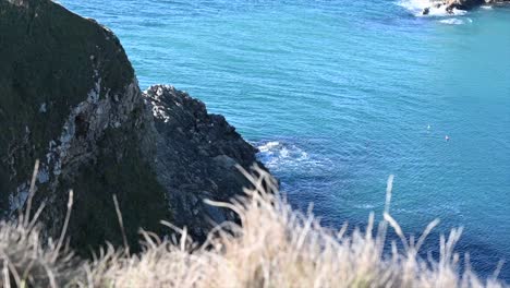 seaside-landscape,-grassy-cliffs-and-water-in-lulworth-cave,-south-of-England