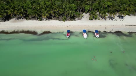 vista aérea de turistas bañándose en la playa de el toro en la pintoresca isla de saona en la república dominicana