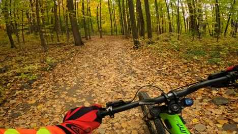 mtb pov pushing bike through autumn forest trail beauty