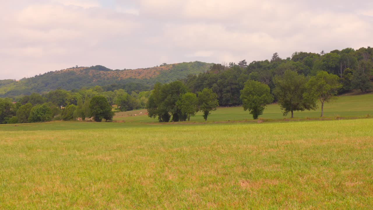 Discover the breathtaking natural beauty of the Ariège Pyrenees. This video captures the lush green valleys, rolling hills, and majestic mountains of the French countryside