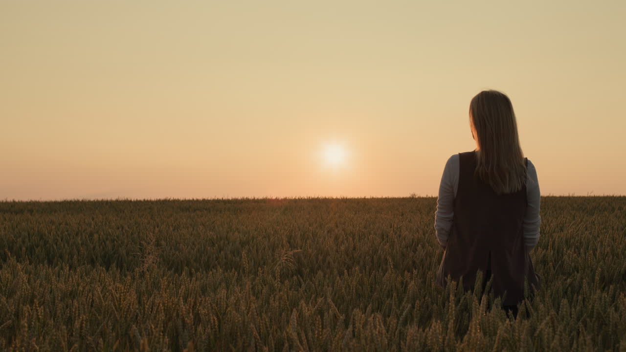 silhouette di una donna contadina in piedi in un campo di grano maturo al tramonto. vista posteriore