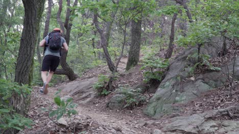 Male-hiker-walking-up-along-the-trail-at-forest-mountain