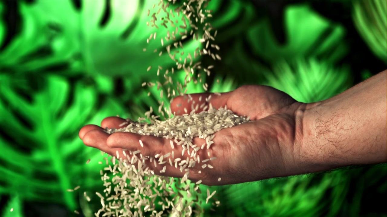 Rijstkorrels vallen in slow motion in een hand tegen een groene achtergrond