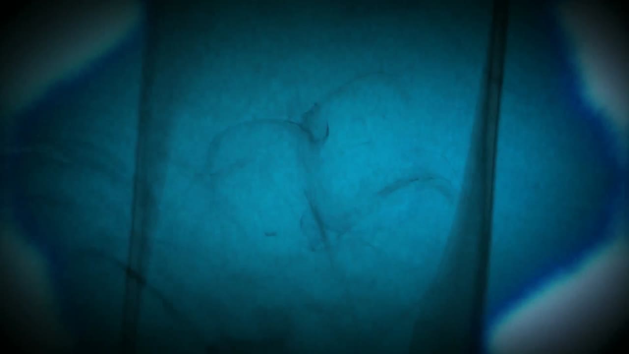 animación de las poblaciones