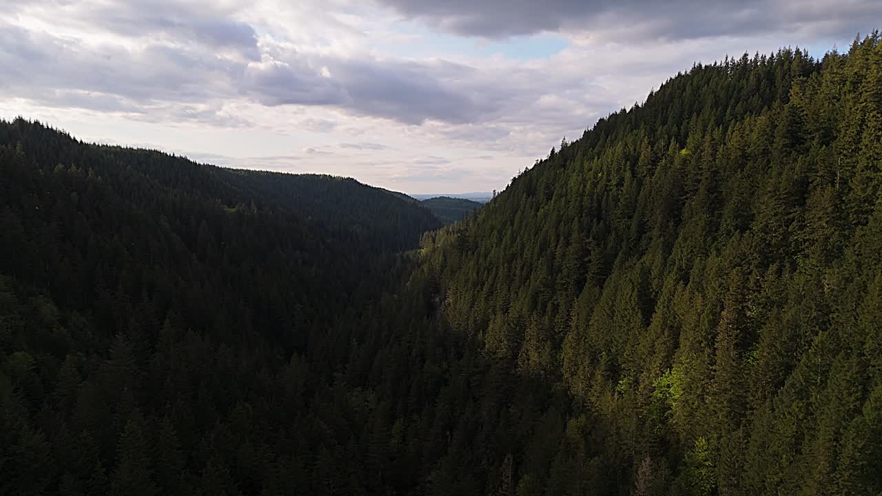 Maestosa ripresa aerea di una catena montuosa sopra la foresta sempreverde a Carbonado, Stato di Washington.