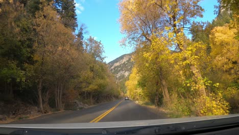 pov view of car driving through vibrant fall leaves in utah mountains