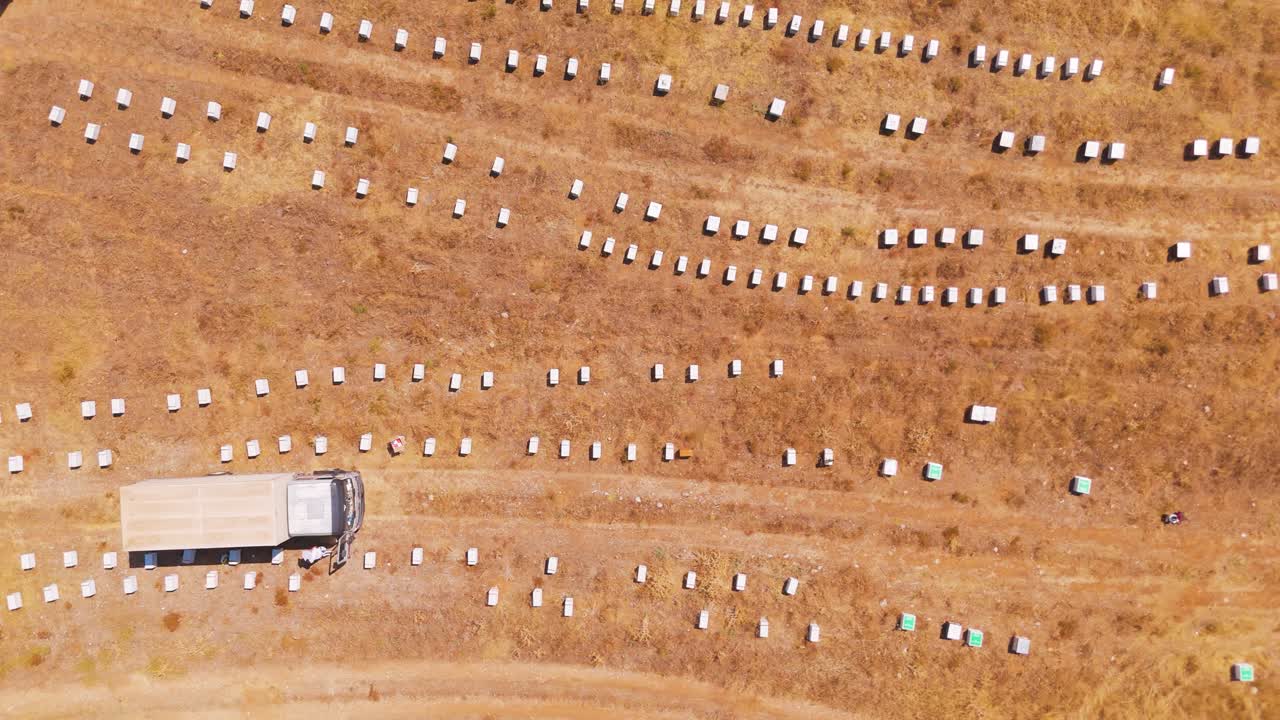 Aerial view of beekeeping field with trucks on a sunny day