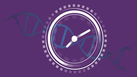 animación del reloj sobre la cadena de adn en fondo púrpura