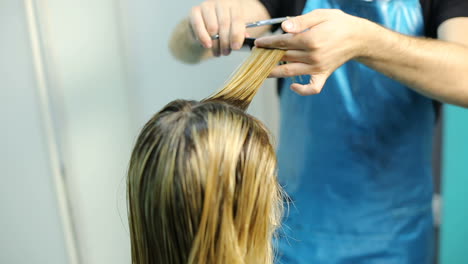 process of cutting hair. hair dresser is dyeing hair of beautiful woman in barber shop