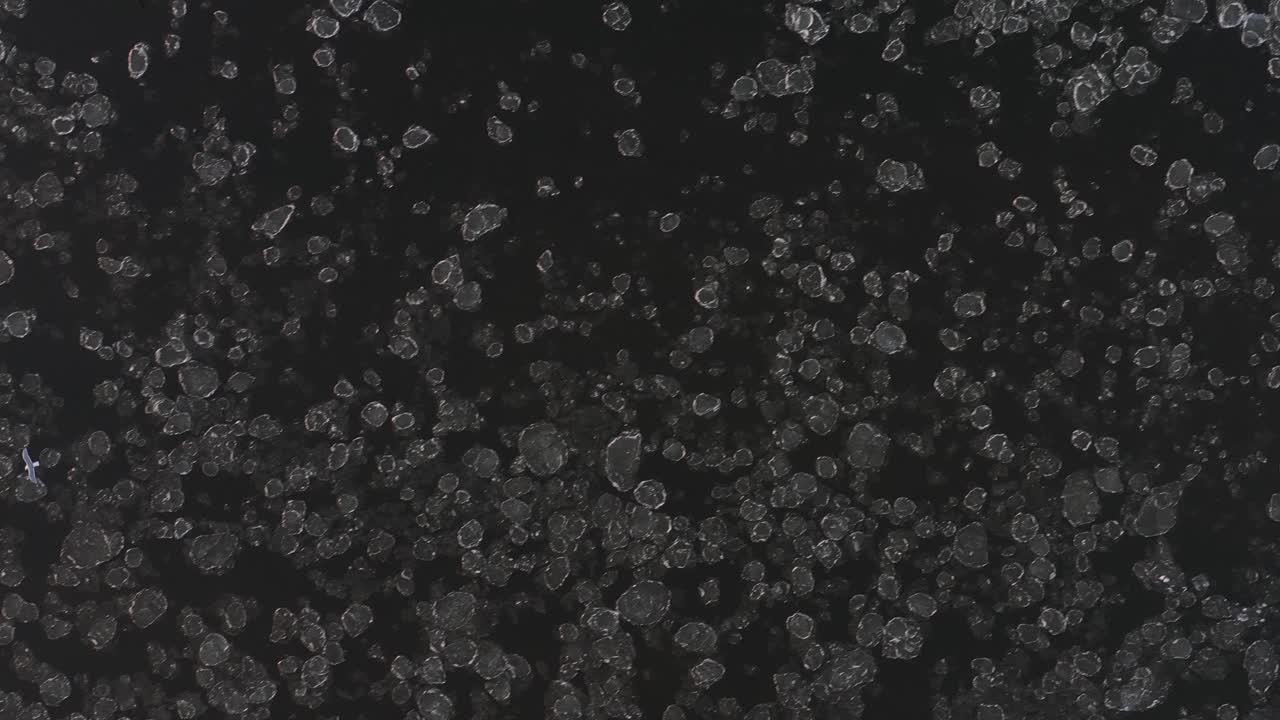 vista aérea de arriba hacia abajo de témpanos de hielo en el río neris