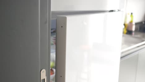 open refrigerator door in modern kitchen