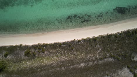 Aerial-top-view-of-Los-Roques-beach-with-crystal-clear-water-and-green-foliage