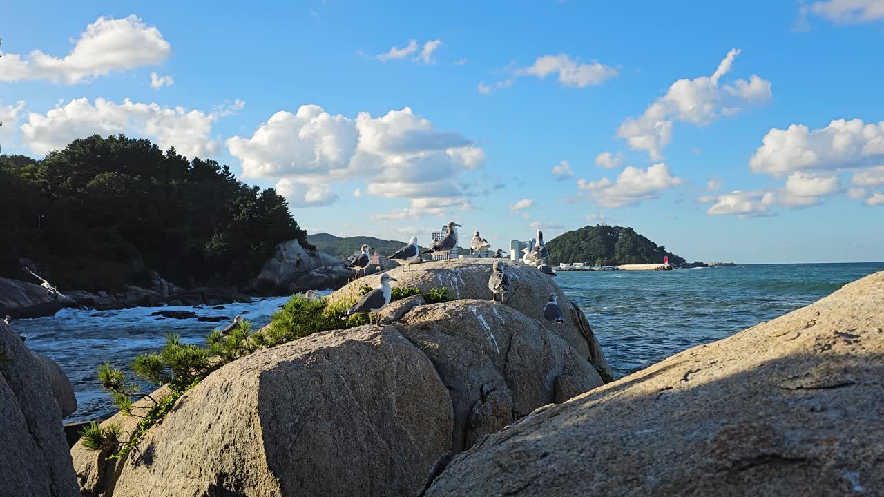 View of the ocean and cliffs surrounding Hyuhyuam Hermitage, South Korea, showcasing the beautiful coastal landscape as seagulls soar and sit on rocks on edge of Yeonhwadae