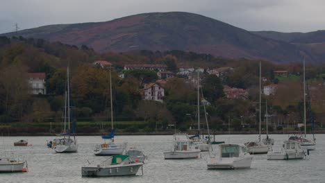 scenic harbor with sailboats and houses on a cloudy day