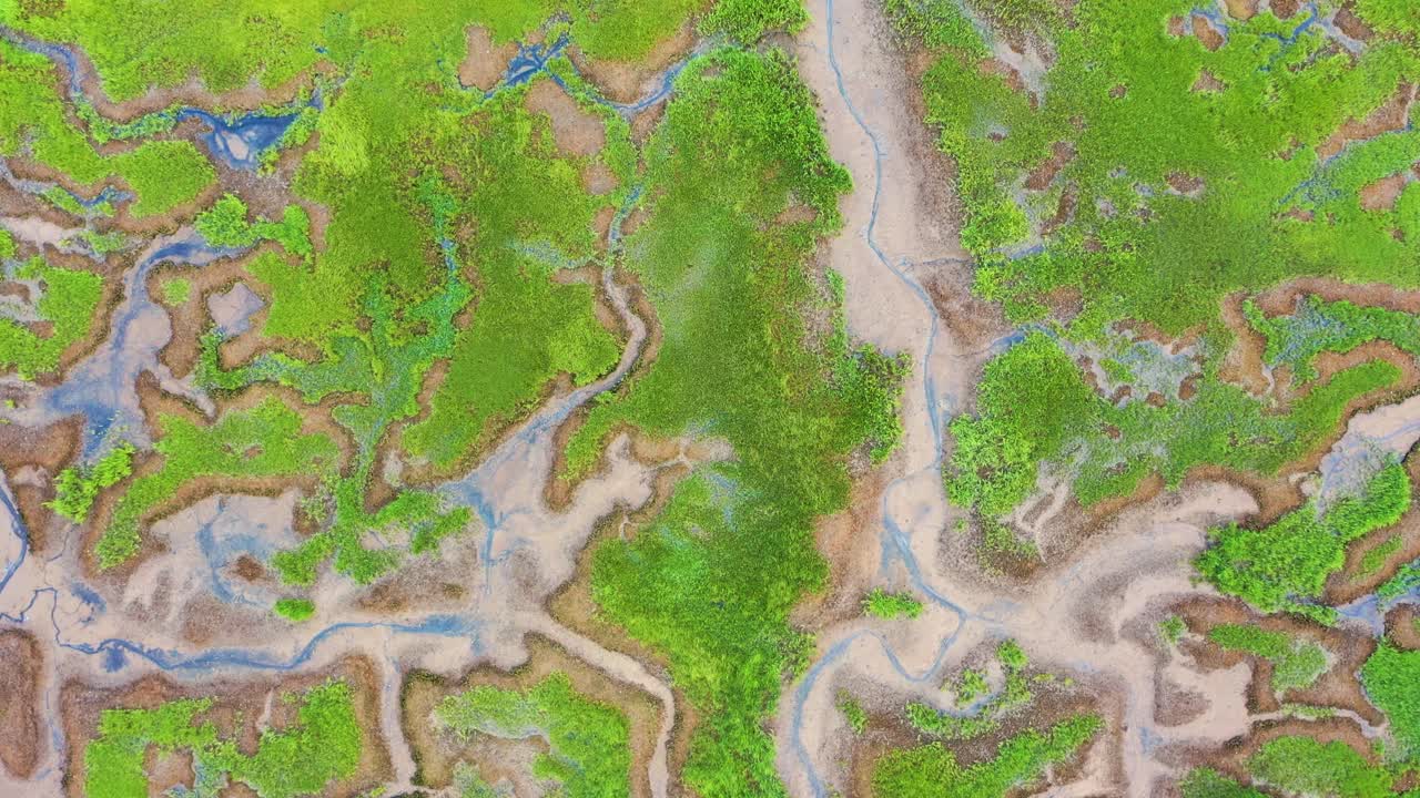 Overhead drone footage reveals winding blue tidal creeks, lush patches of marsh grass, and sandy textures blending into a vivid and abstract wetland landscape