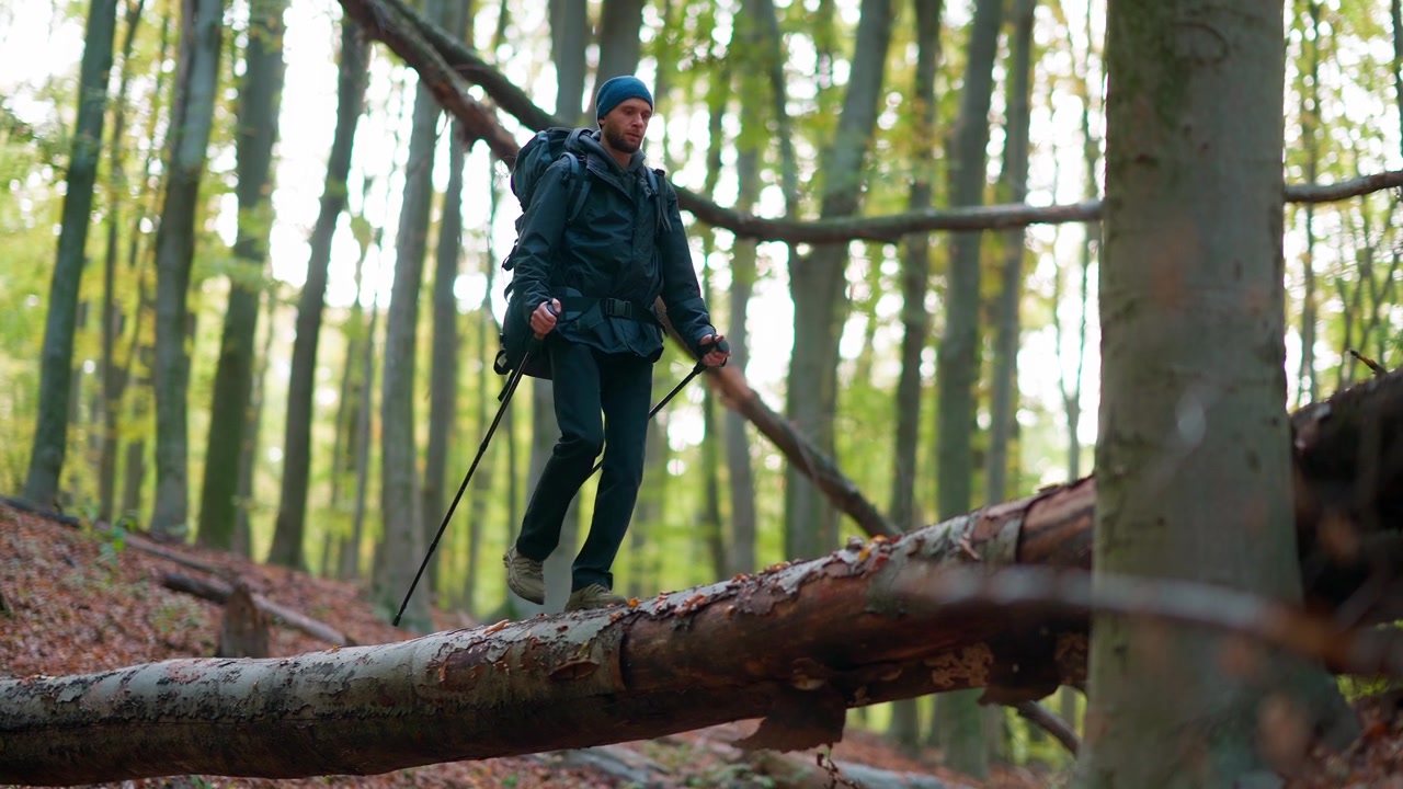 Adventurous Hiker Crosses Fallen Tree Trunk in Autumn Forest