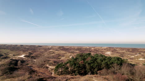 national park at meijendel dunes in wassenaarse slag, wassenaar, south holland netherlands