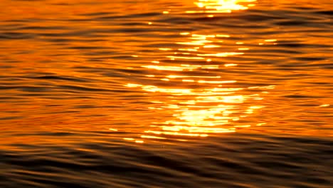 sea wave close up, closeup view, sunrise shot