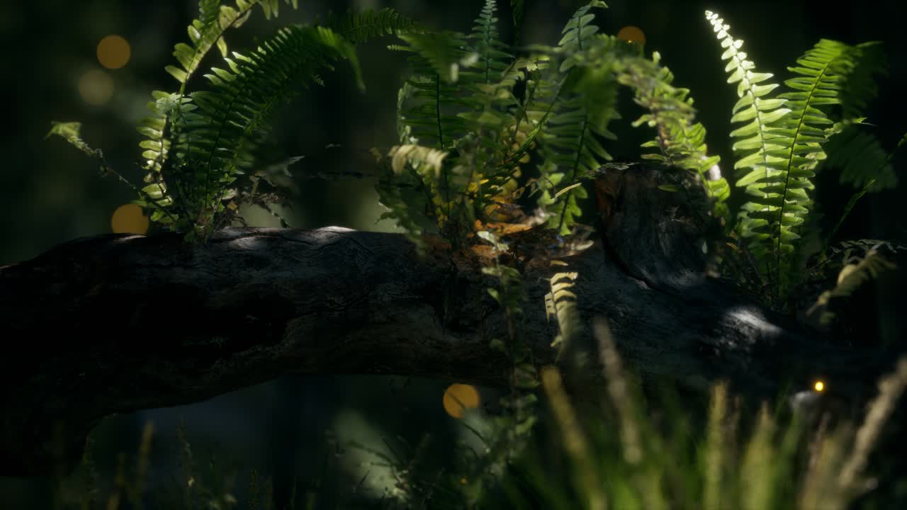 tronco del árbol doblado horizontalmente con helechos creciendo, y la luz del sol brillando