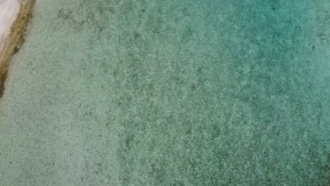 Top-down-aerial-shot-of-clear-tropical-water-over-white-sand-with-mottled-appearance