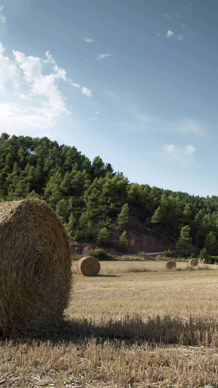 Saman balyaları ve güzel gökyüzü olan tarla, dikey.