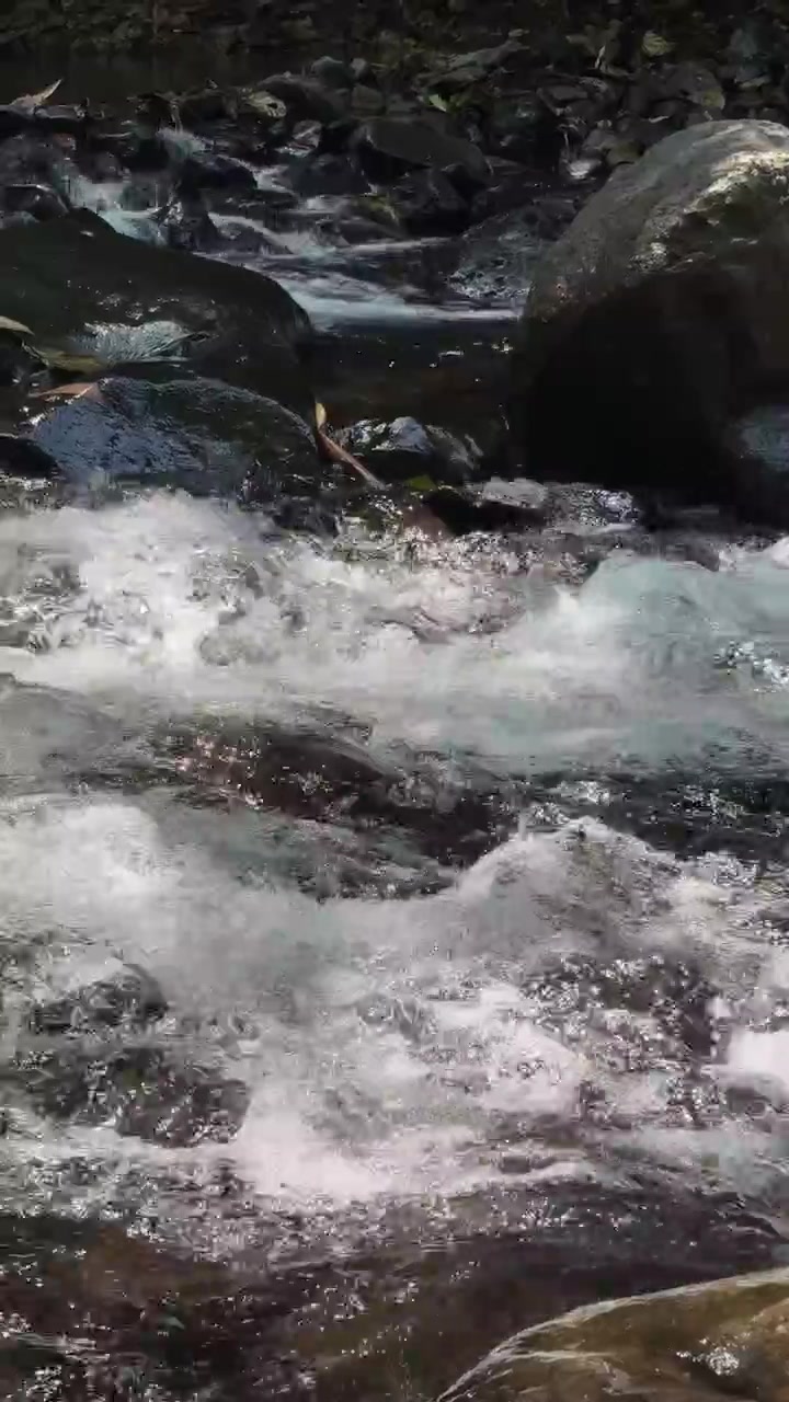Acqua cristallina che scorre sulle rocce in un ruscello nel bosco