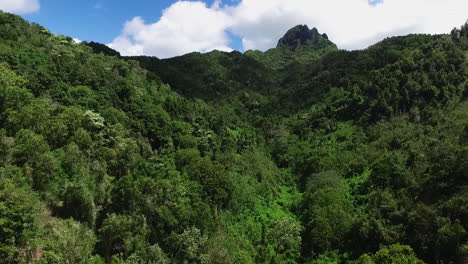 aerial drone flying upwards an inland mountain of rarotonga, cook islands showing tropical forest