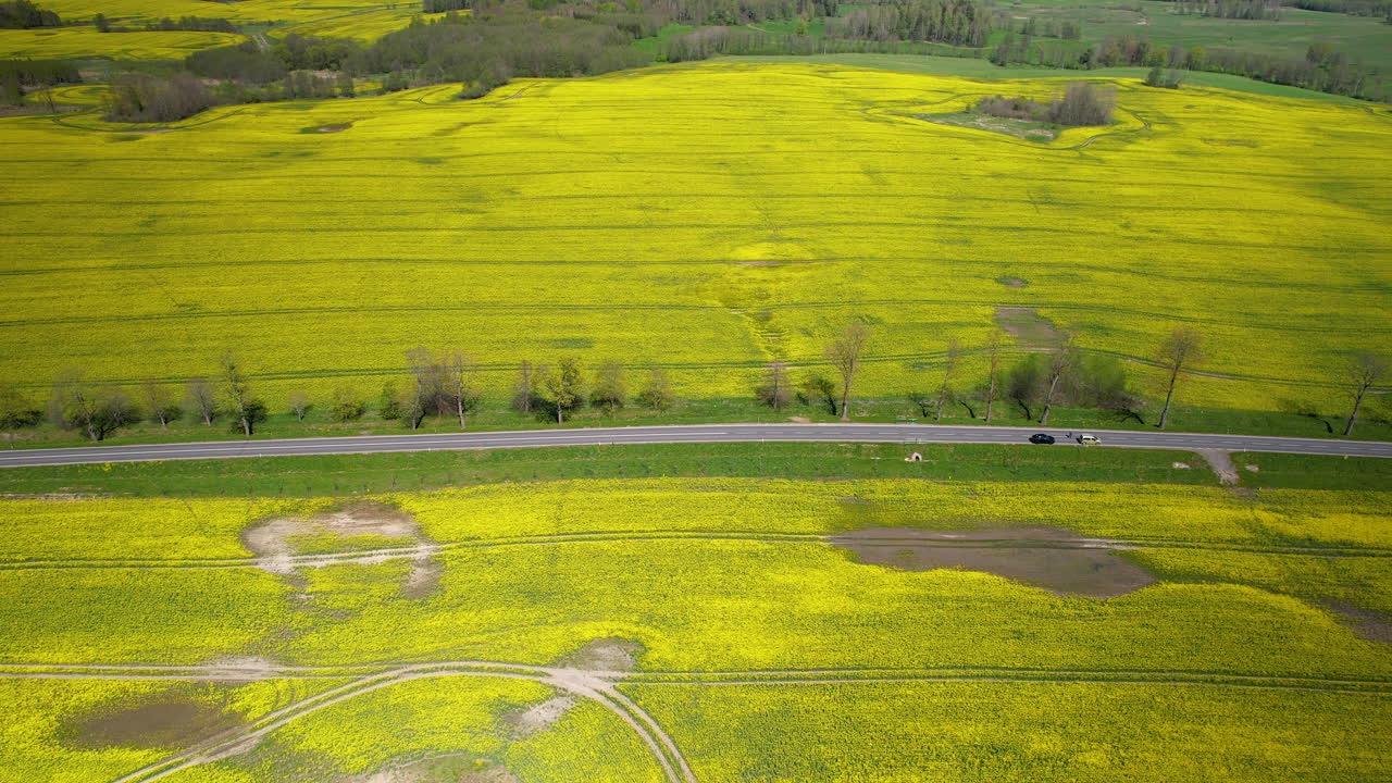 aerial panoramic slide over yellow rape field in north of poland - agriculture area