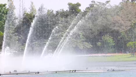 water fountain in a park