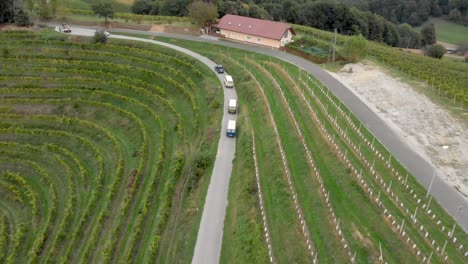 cars and vans driving through the wine region of jeruzelum in slovenia from an aerial perspective