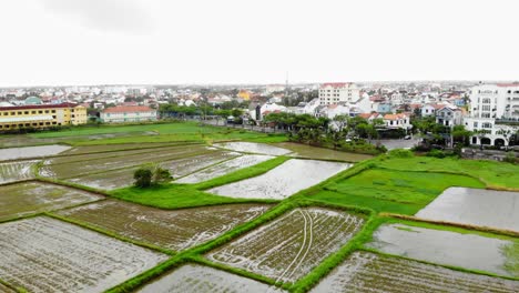 hoi an in vietnam with rice fields in the foregorund and building in the background, a dolly shot captured by a drone