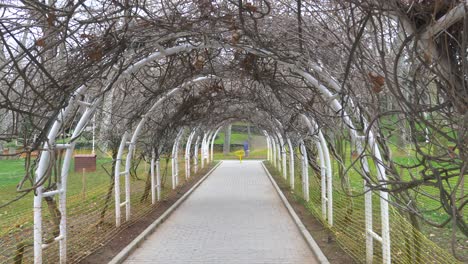 paseo arqueado a través de un jardín