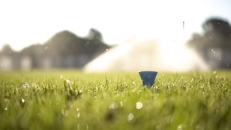 golf club hits a golf ball in a super slow motion. drops of morning dew and grass particles rise into the air after the impact.