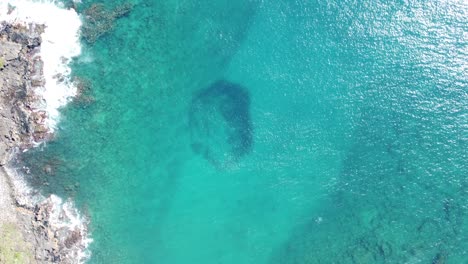 Aerial-of-bait-ball-or-school-of-fish-sheltering-in-shallow-clear-turquoise-waters-of-Koloa-Landing,-Kauai,-Hawaii,-Pacific-coastline-of-USA