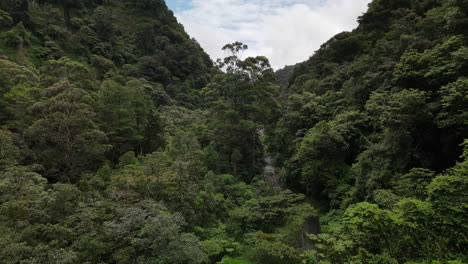 一條通往山上的小路在<unk>林的空中高角度景色