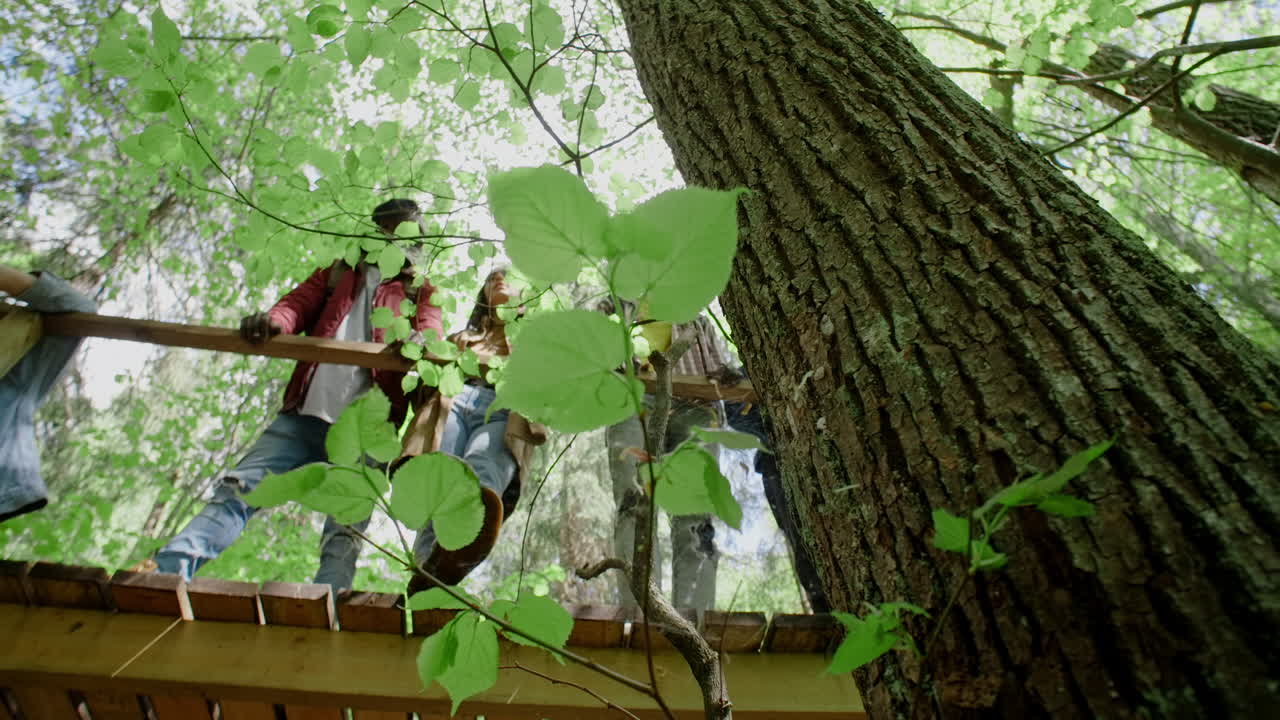 Friends enjoying the outdoors on a wooden walkway in a forest