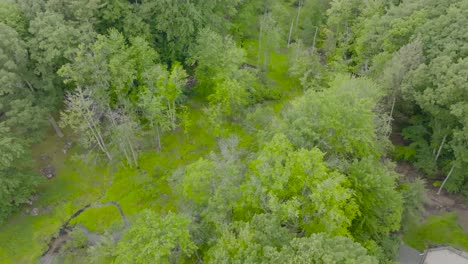 área-Pantanosa-Del-Arroyo-Desde-El-Aire