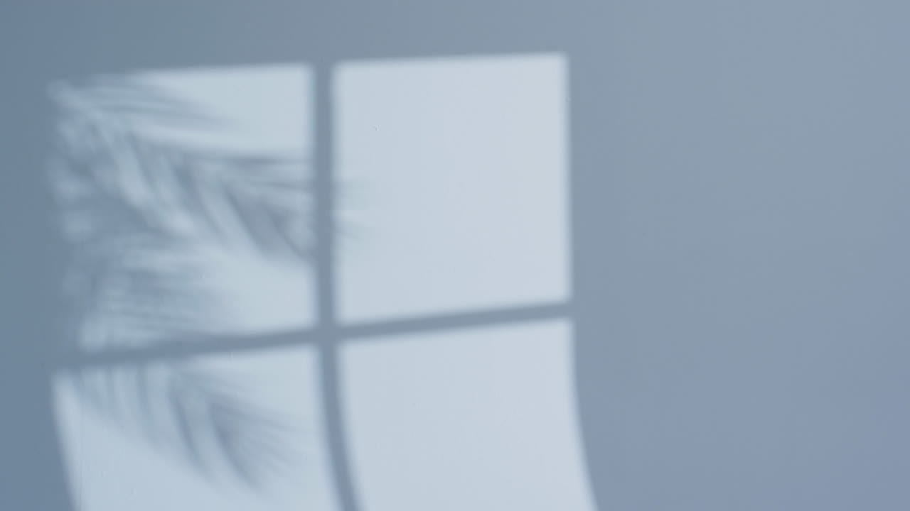 ⁇ 색 배경 위 에 복사 공간 을 가진 창문 에 있는 참나무 잎 의 그림자 의 비디오