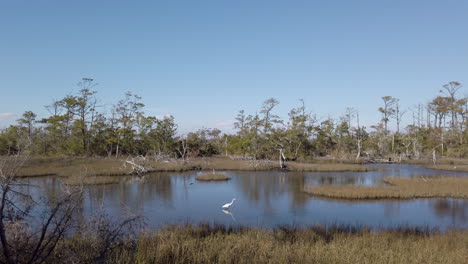 wide shot salt marsh eastern north carolina