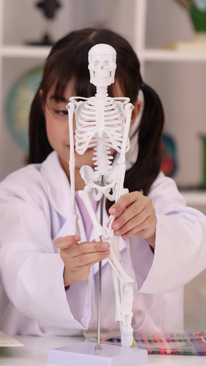 A schoolgirl in a white lab coat carefully adjusts and studies a human skeleton model.