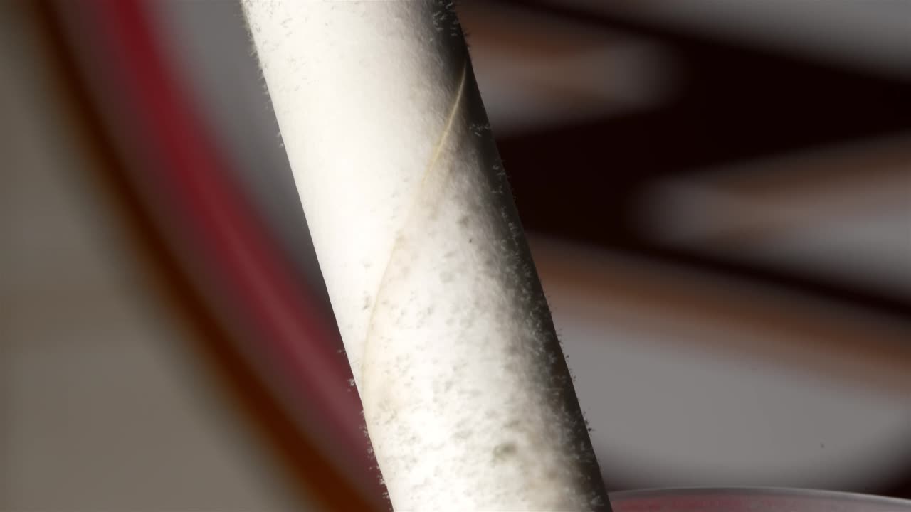 Close-up of a paper straw inside a paper can showing the beginning of mold growth.