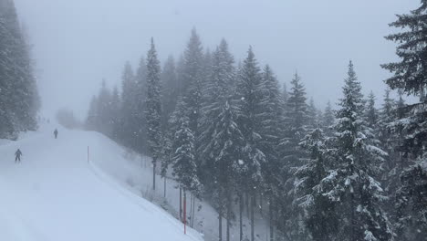 people skiing on the snowy mountain with snow falling on the pine trees during winter season in austria - high angle ascend