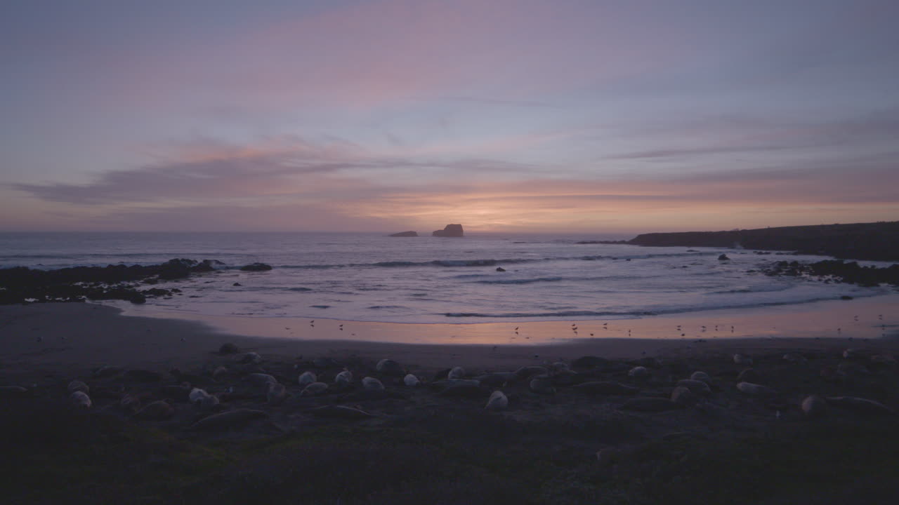 캘리포니아에 위치한 배경에서 해가 질 때 파도가 굴러가는 비스타 포인트 해변의 기슭을 따라 누워 있는 코끼리 바다표범의 시간 경과